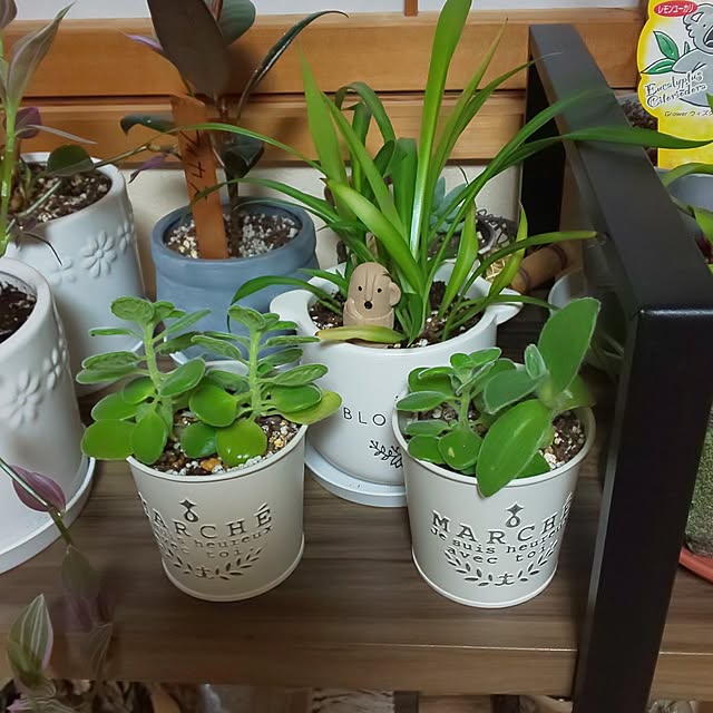 yumiyumiさんの部屋