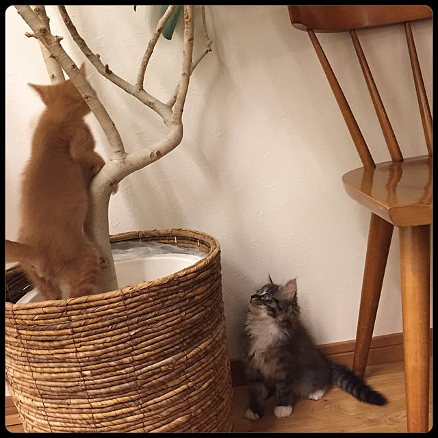 Hisashiさんの実例写真
