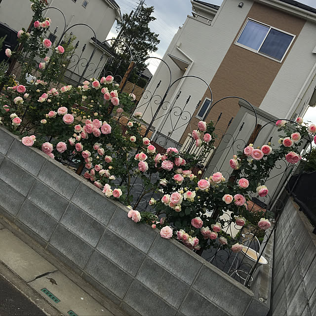 Ayumiさんの実例写真
