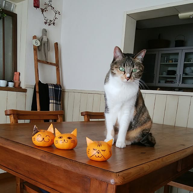 tomo1220さんの実例写真