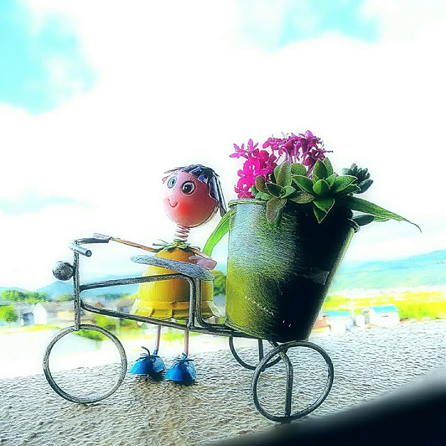 umiumiさんの実例写真