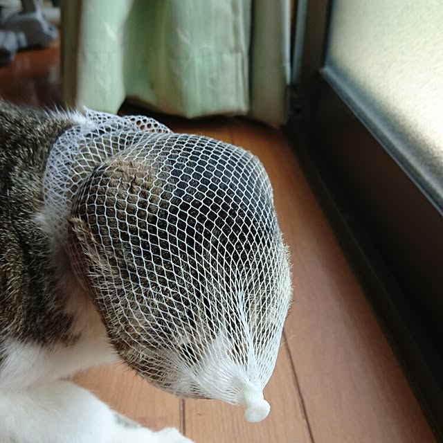 427klandさんの実例写真