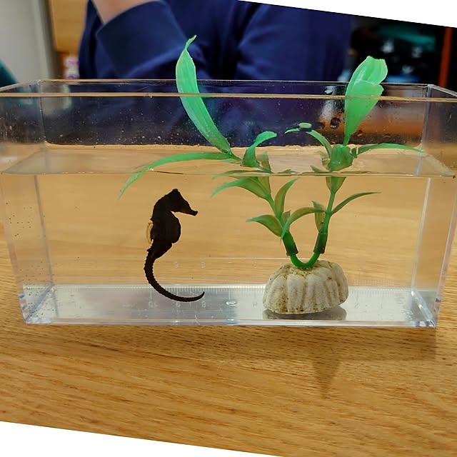 ToReTaRiさんの部屋
