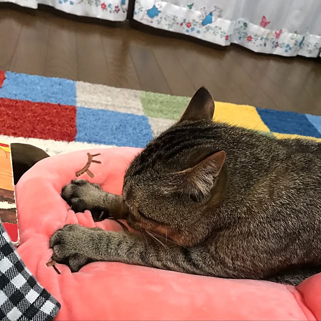 pepeさんの実例写真
