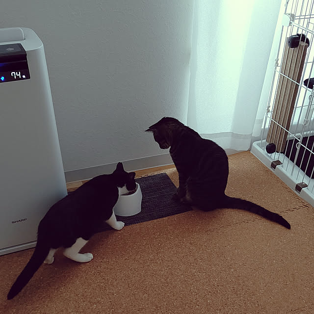 hihaさんの実例写真