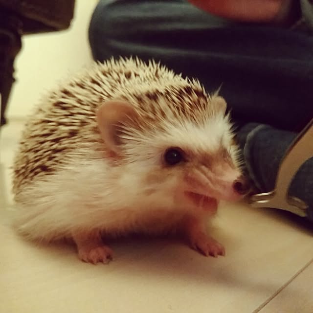 kuruさんの実例写真