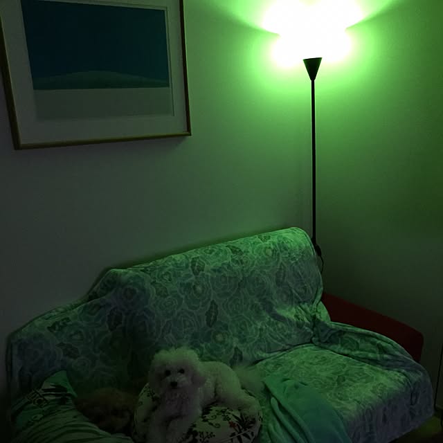 実例写真