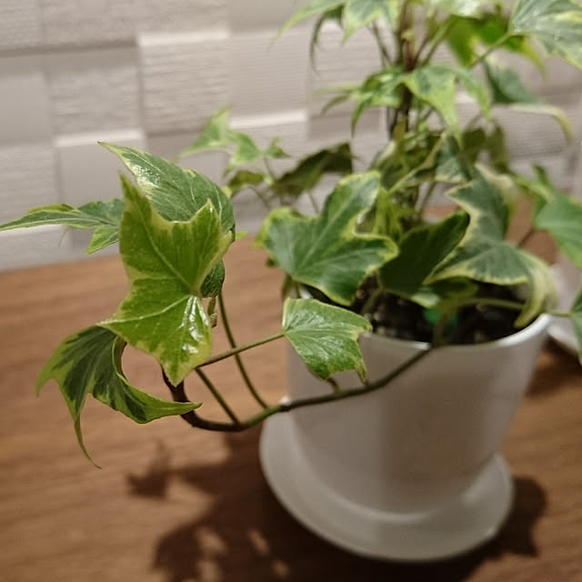 KID_Aさんの実例写真