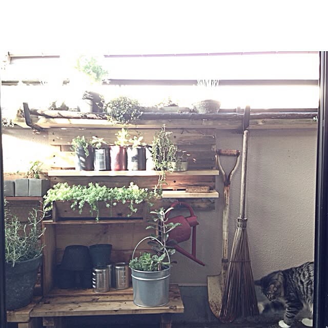 jnkaiさんの実例写真