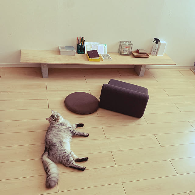 kkkさんの実例写真