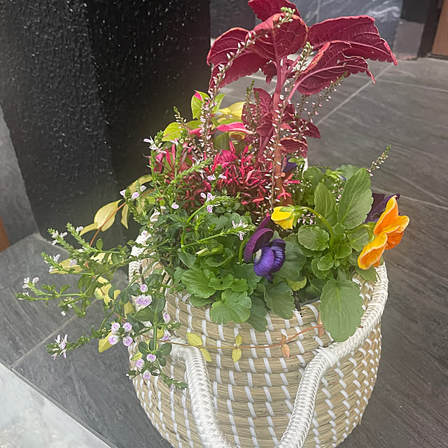 koekuさんの部屋