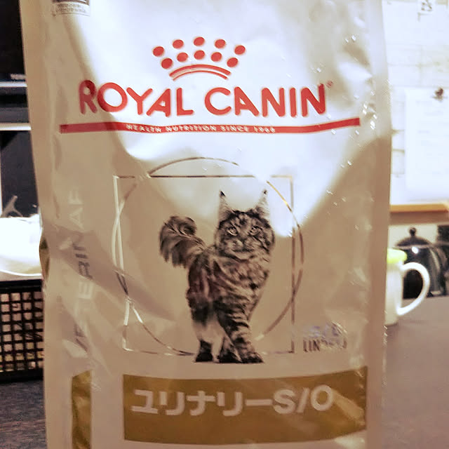 runaさんの実例写真