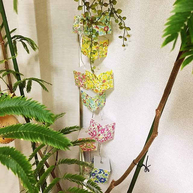 omochiさんの実例写真