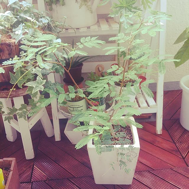 chiさんの実例写真