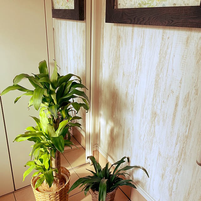 mocoさんの実例写真