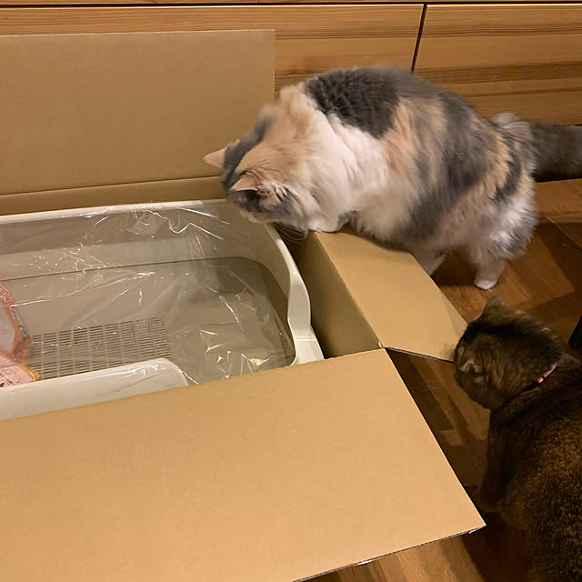 marikoさんの実例写真