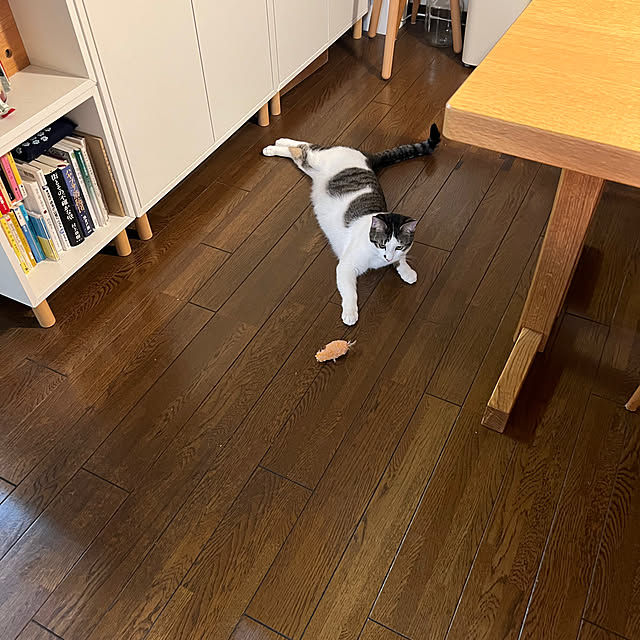 kuzumeganeさんの実例写真
