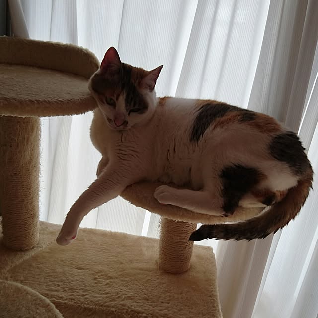 taleo07さんの実例写真