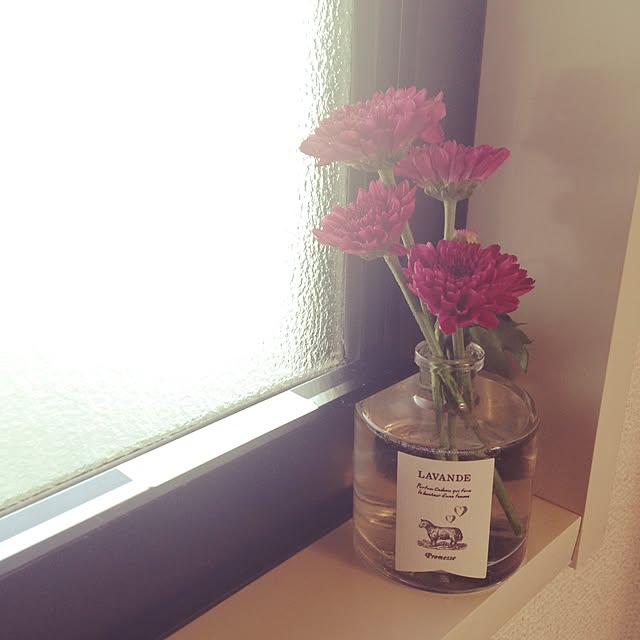 hippa_riccoさんの実例写真