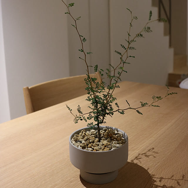 peng88さんの部屋