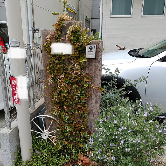 nagnagさんの実例写真