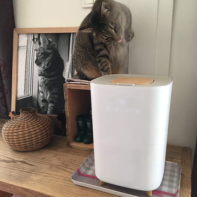 mikomaruさんの実例写真