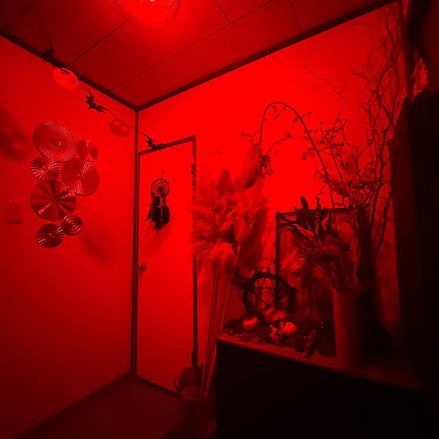 玄関/入り口/ハロウィンのインテリア実例 - 2024-10-31 15:29:12