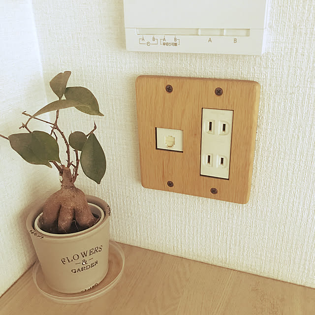 naoさんの実例写真