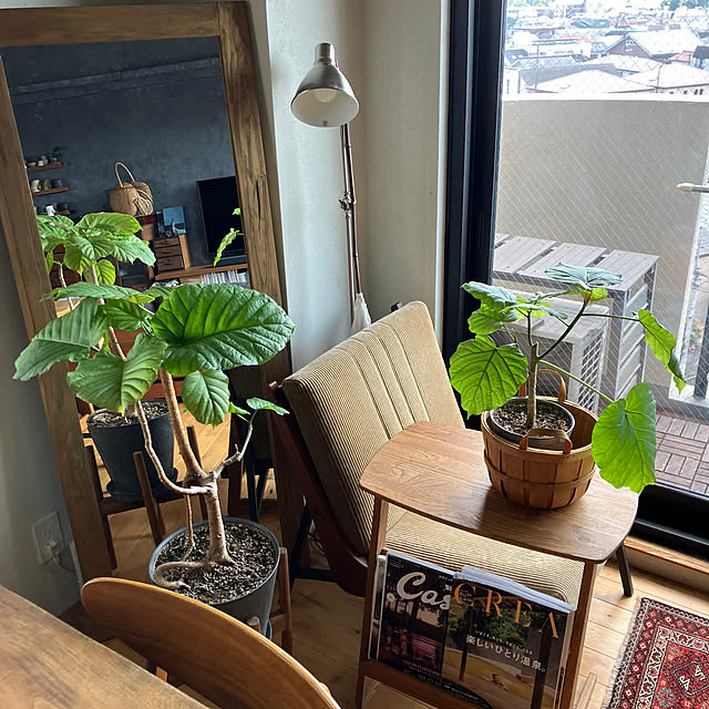naka_snzさんの部屋
