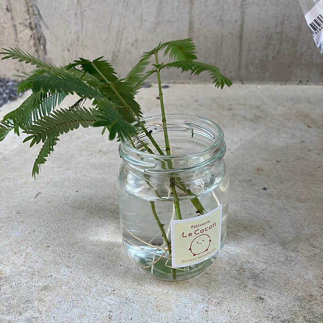 pokowheeさんの部屋