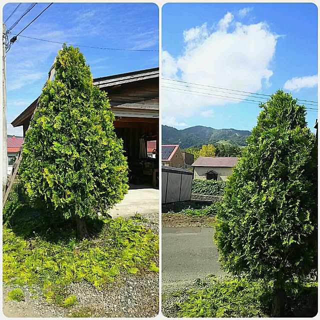 ItSANさんの実例写真
