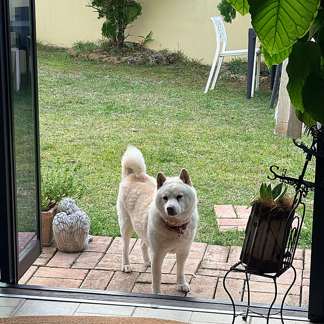 bu-bu-chanさんの部屋