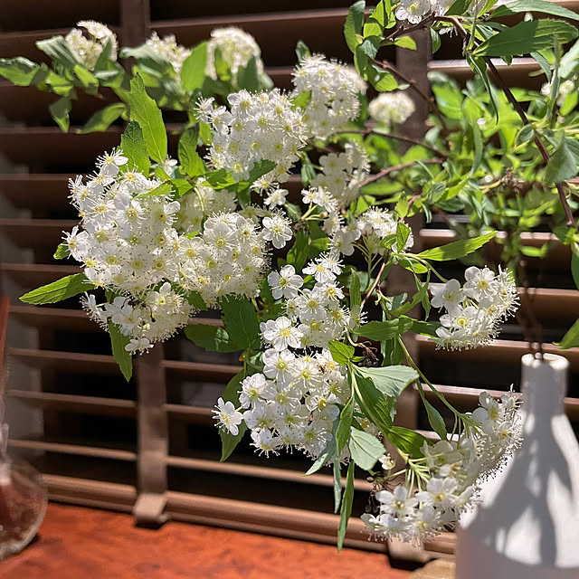 Yumiさんの部屋