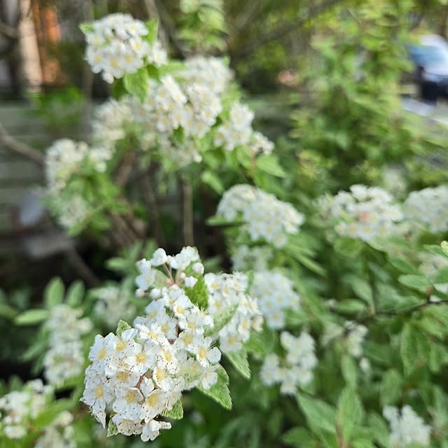 min_nimさんの部屋