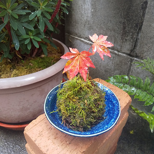 microさんの実例写真