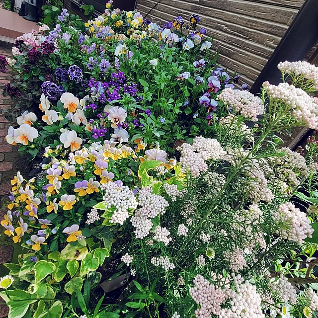 mimi828さんの部屋