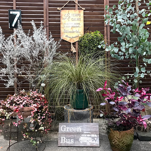 bibianさんの実例写真
