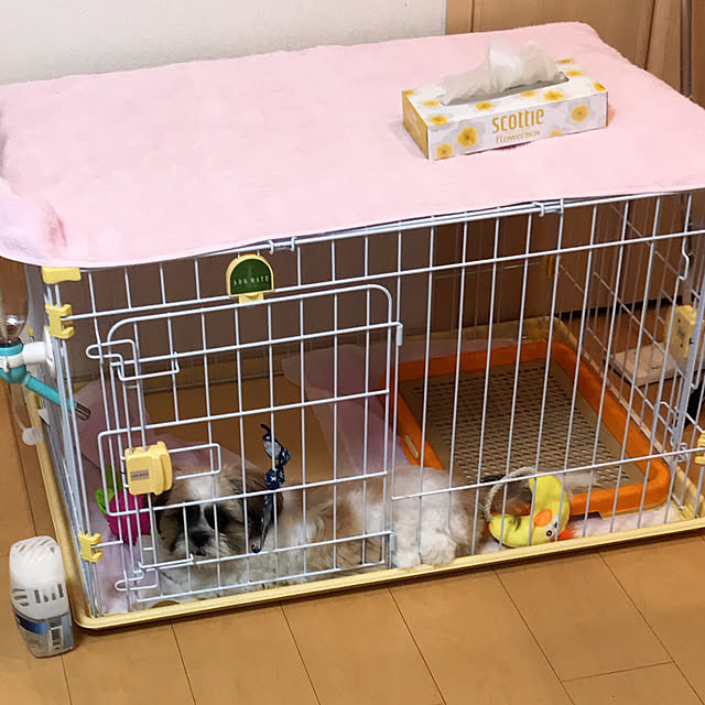 MOZURIKOさんの実例写真