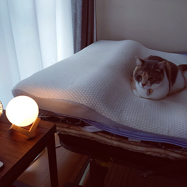 fukuさんの実例写真