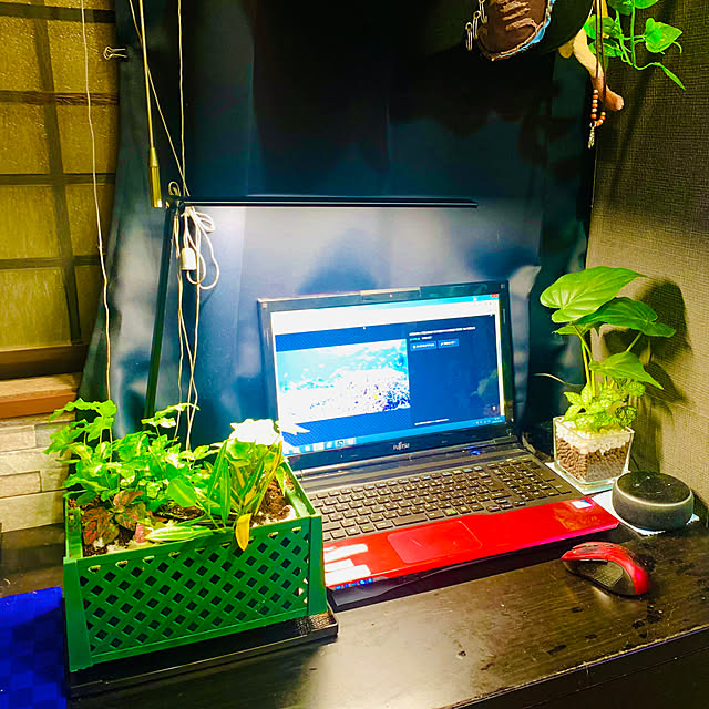 tututu0204さんの部屋