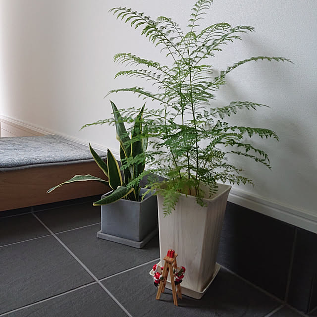 i-homeさんの実例写真