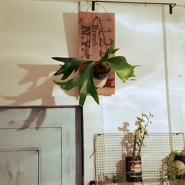 asuさんの実例写真