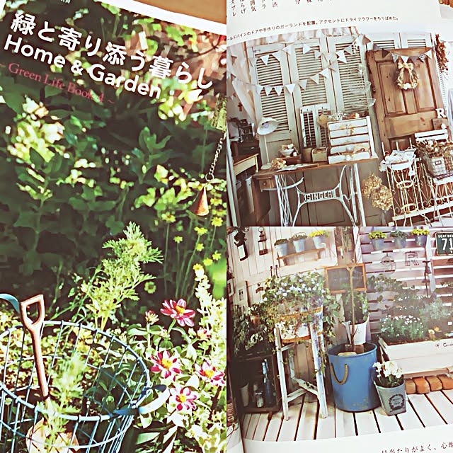miruさんの実例写真