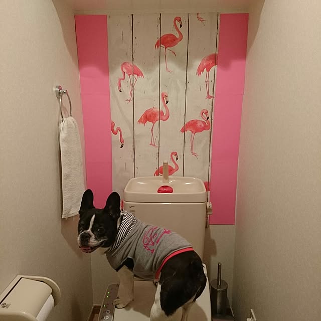 Makiさんの実例写真