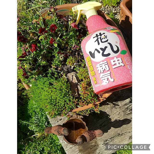 Rさんの実例写真