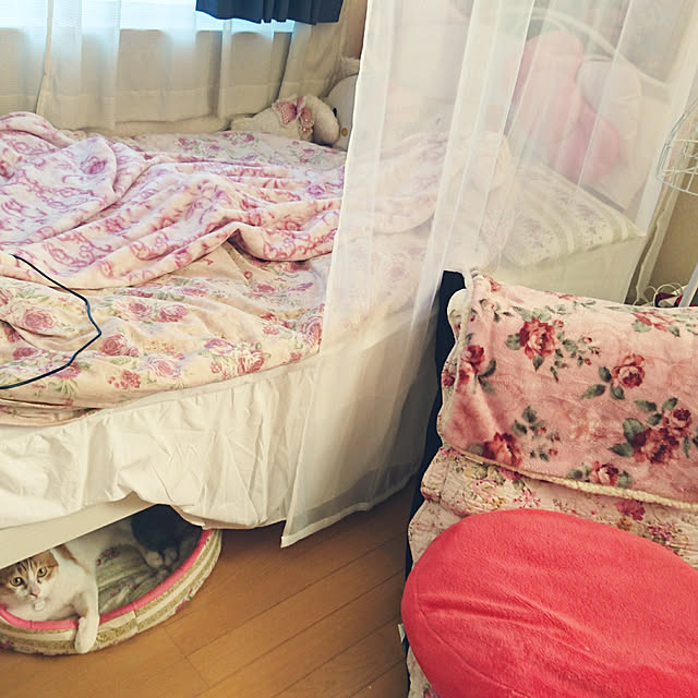 MISTさんの実例写真