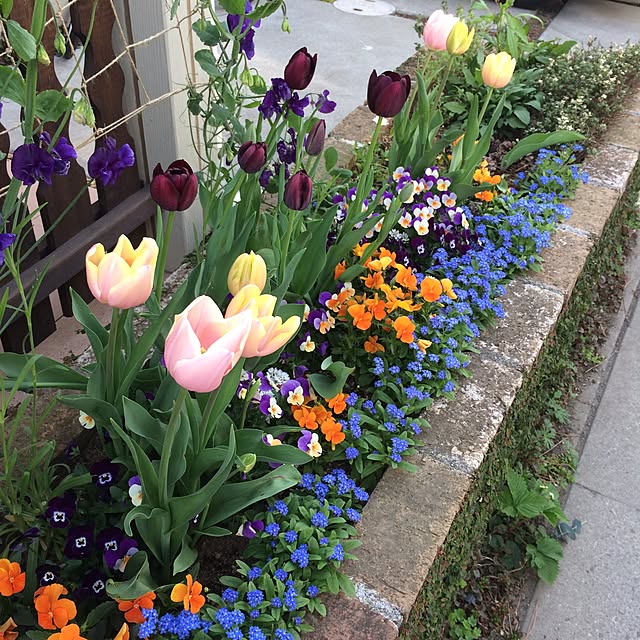 yukkoさんの実例写真