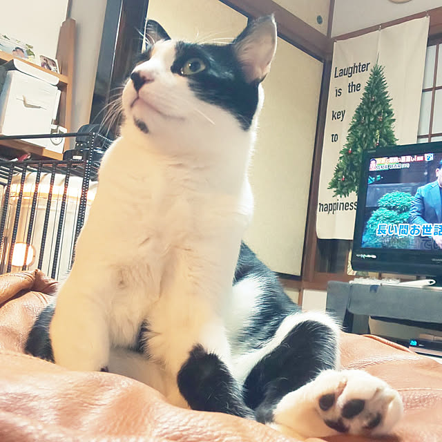 oseroさんの実例写真