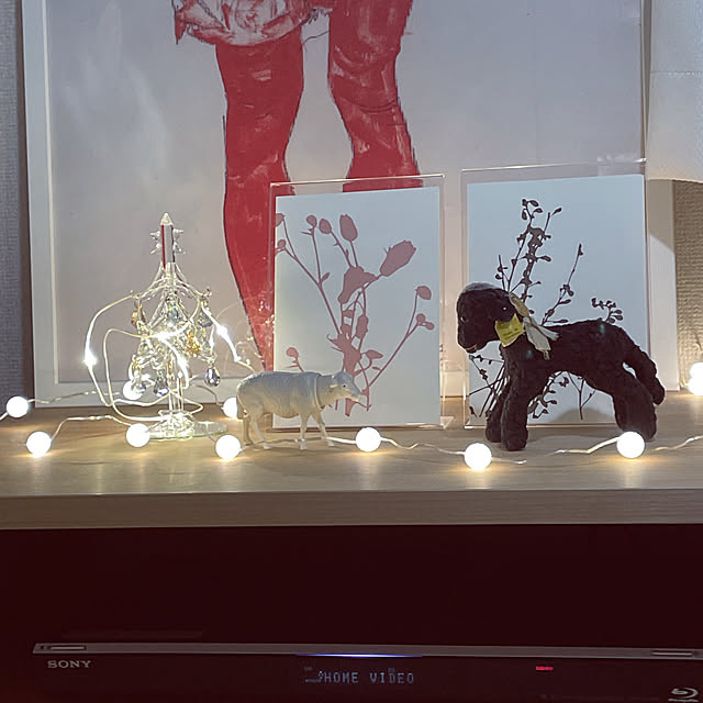 raraさんの実例写真