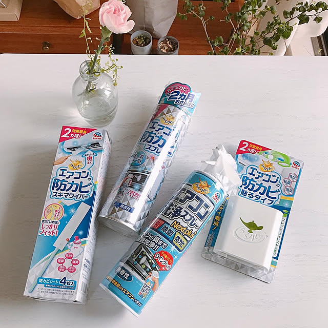 mikiteacupさんの実例写真